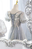 Gray Tulle Lace Long Party Dress, A-Line Evening Dress HZ0429