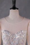 Champagne Tulle Sequins Long Prom Dress, A-Line Long Sleeve Evening Party Dress HZ0429